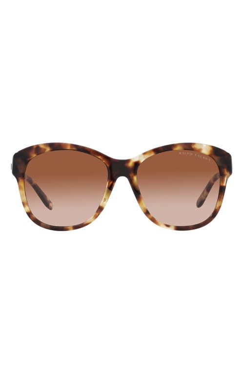 Ralph Lauren 55mm Round Sunglasses in Havana at Nordstrom