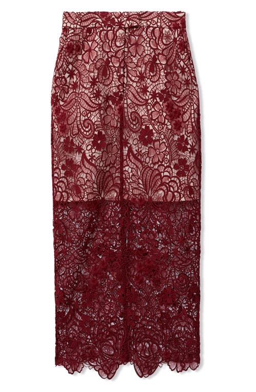 Shop Reiss Flo Lace Midi Skirt In Burgundy