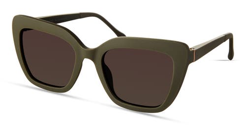 Eco Kilda Sunglasses In Olive