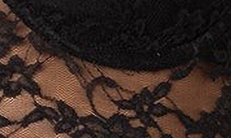 Edikted Sheer Lace Bra Crop Top In Black