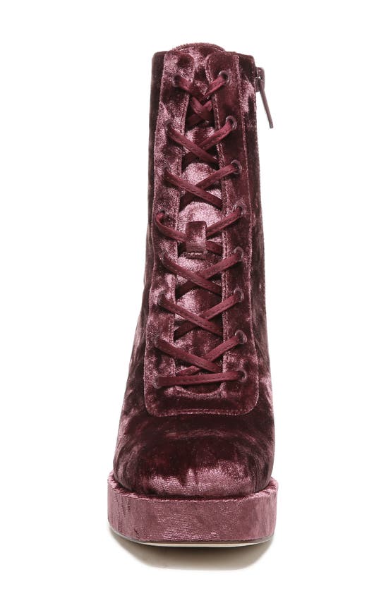 Circus Ny Kia Block Heel Bootie In Red Currant