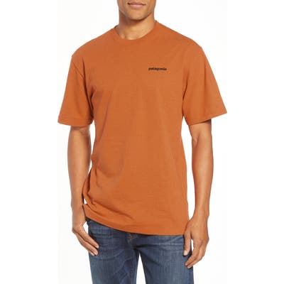 Patagonia Fitz Roy Trout Crewneck T-Shirt