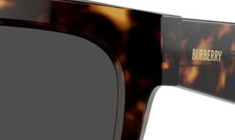 Shop Burberry 56mm Square Sunglasses In Dark Havana