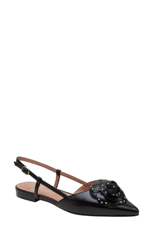 Shop Linea Paolo Cadie Slingback Pointed Toe Flat In Black