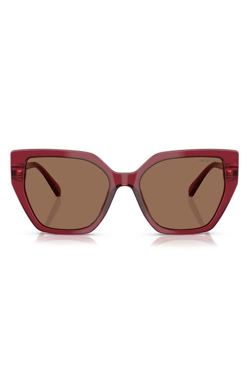 Swarovski Constella 56mm Polarized Irregular Sunglasses In Dark Brown