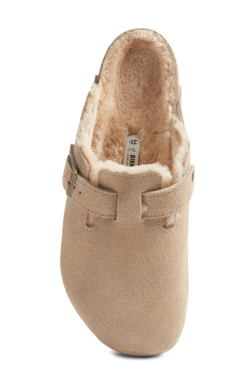 Birkenstock Boston Genuine Shearling Lined Clog In Taupe
