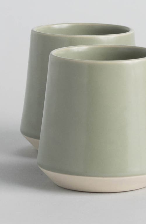 Fable The Cups In Beachgrass Green
