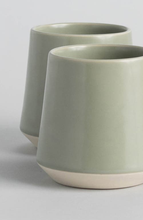 Shop Fable The Cups Set Of 4 Cups In Beachgrass Green