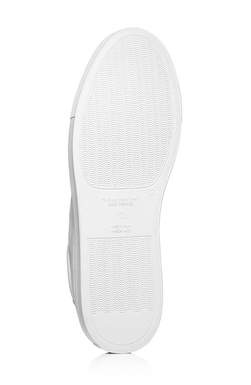 TO BOOT NEW YORK TO BOOT NEW YORK BLOOM LOW TOP SNEAKER