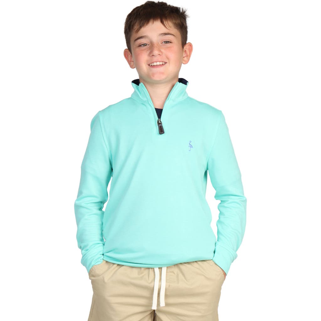 Tailorbyrd Kids' Modal Blend Quarter Zip Pullover In Mint