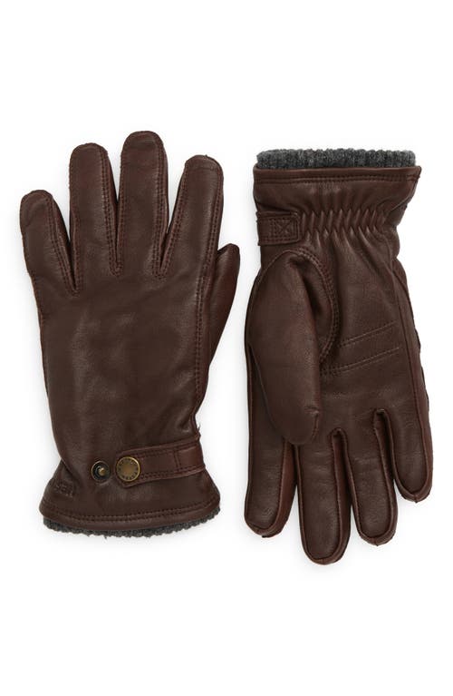 Hestra Utsjo Leather Gloves in Espresso at Nordstrom, Size Small