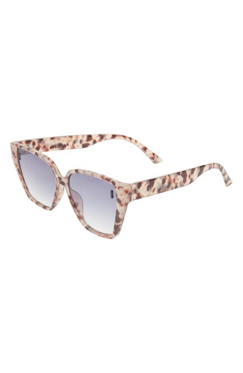 Vince Camuto 56mm Cat Eye Sunglasses In Animal