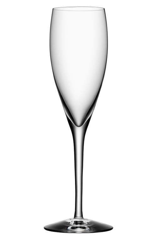 Orrefors More Set of 4 Champagne Flutes in White at Nordstrom