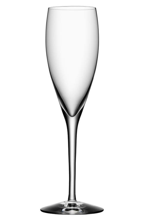 EAN 7321646000302 product image for Orrefors More Set of 4 Champagne Flutes in White at Nordstrom | upcitemdb.com