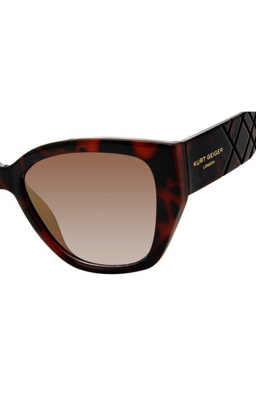 Shop Kurt Geiger London 55mm Cat Eye Sunglasses In Havana/soft Gold Flash