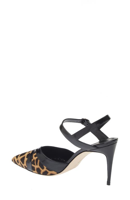 Shop Manolo Blahnik Aristida Genuine Calf Hair Pointed Toe Pump In Giraffe/black