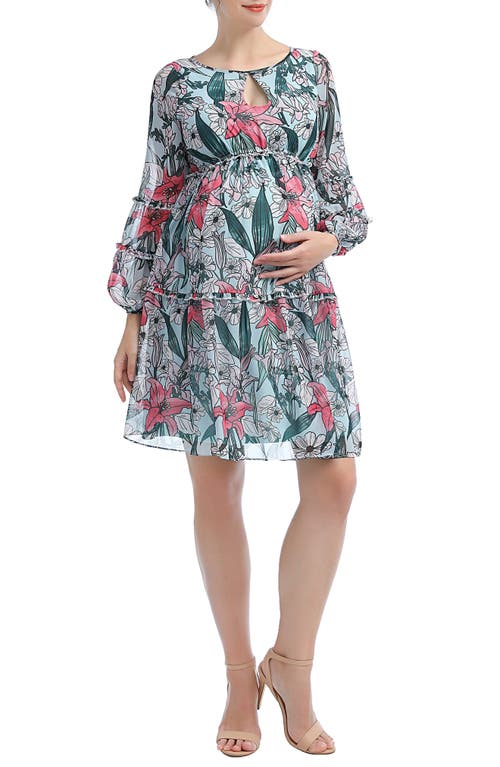 Kimi and Kai Nia Floral Long Sleeve Maternity Babydoll Dress Green Multi at Nordstrom,