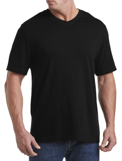 HARBOR BAY HARBOR BAY BY DXL MOISTURE-WICKING JERSEY V-NECK T-SHIRT 