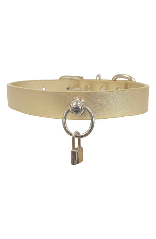 Shop Dogs Of Glamour Ryan Lock Collar In Gold