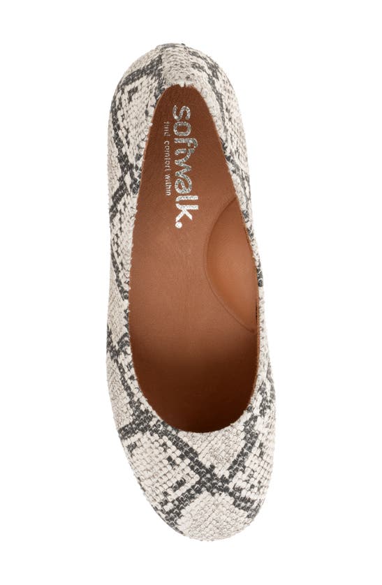 Shop Softwalk ® Lynn Pump In Black White Snake