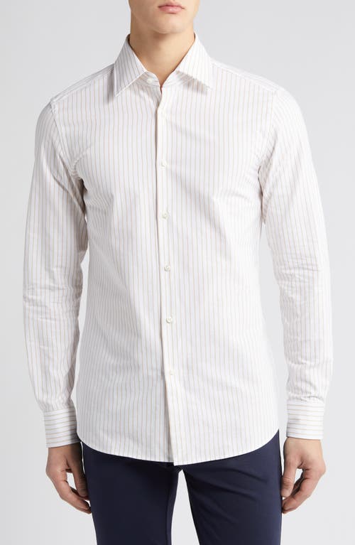 Hays Kent Slim Fit Stripe Cotton Dress Shirt in Medium Beige