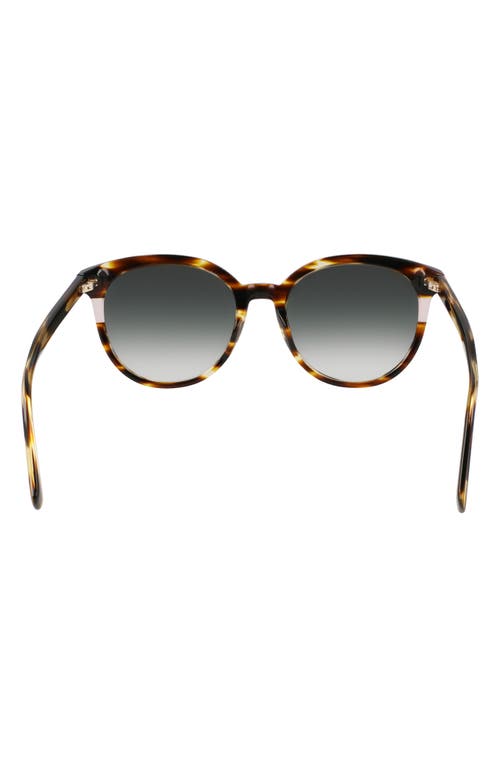 Longchamp Heritage 55mm Gradient Round Sunglasses In Striped Brown