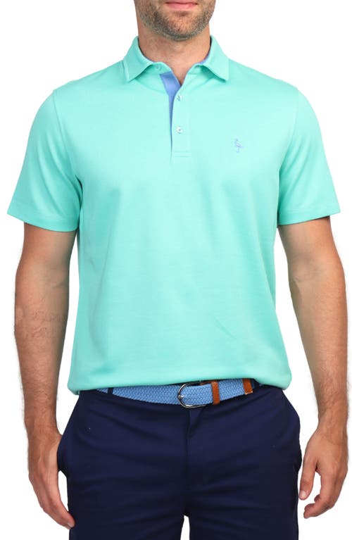 Tailorbyrd Solid Polo In Spearmint