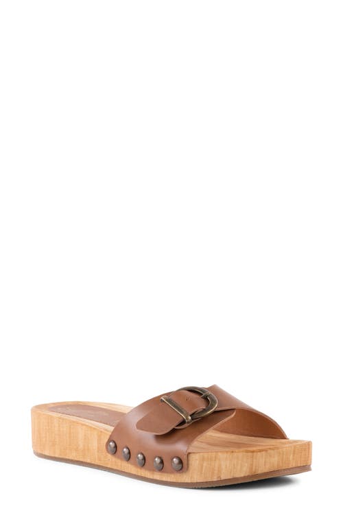 Sorbet Platform Wedge Sandal in Brown