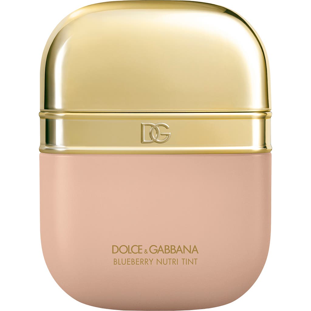 Dolce & Gabbana Dolce&gabbana Blueberry Nutri-tint Hydra-glow & Fresh Skin Tint In 9c