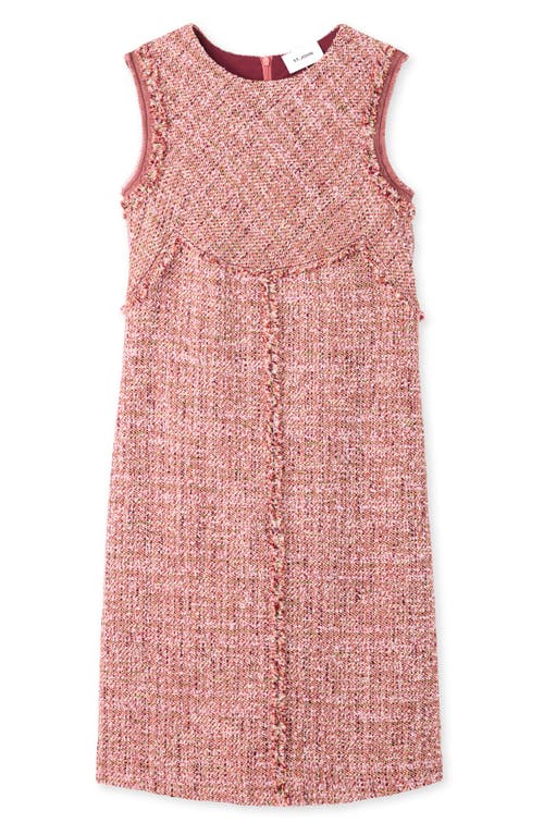 St John Georgette-trim Eyelash Fringe Tweed Sleeveless Dress In Petal Pink/cranberry Multi