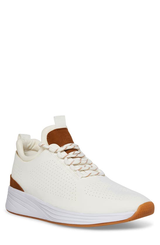 Steve Madden Sakkai Sneaker In Cream