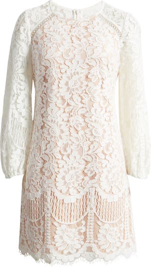 Vince Camuto Raglan Long Sleeve Lace Dress Nordstrom