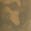 selected Fatigue Camo color