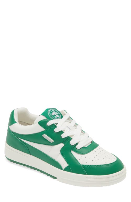Palm Angels University Low Top Sneaker in White Green