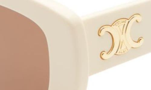 Shop Celine Triomphe 55mm Rectangular Sunglasses In Ivory/brown