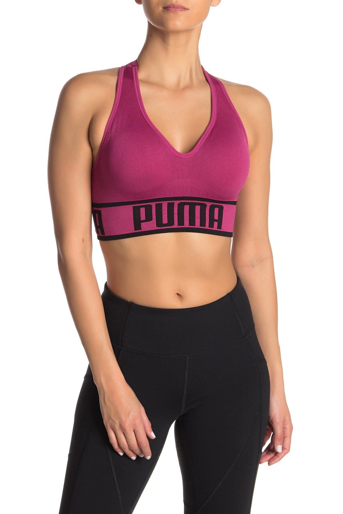 gucci sport bra
