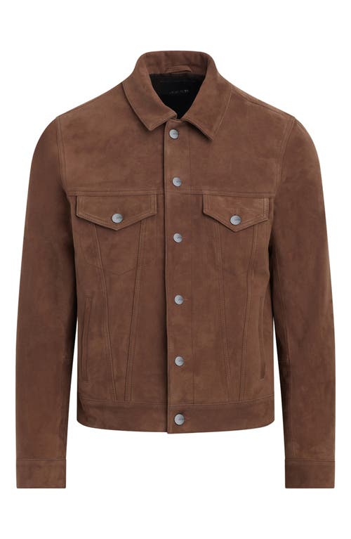 Joe's Cash Suede Trucker Jacket In Oakwood