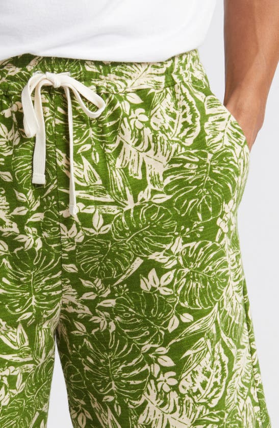 Shop Pendleton Wayside Leaf Print Knit Shorts In Olive Green