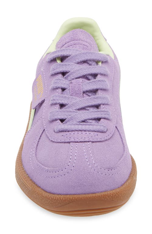 Shop Puma Kids' Palermo Sneaker In Lavender Alert-cool Cucumber