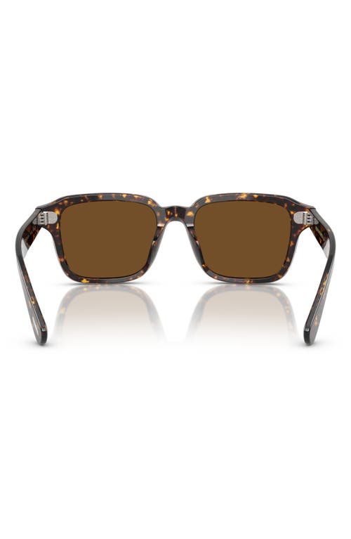 Oliver Peoples 51mm Pillow Sunglasses In Brown Tortoise
