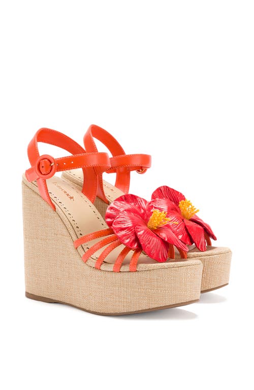 Shop Larroude Larroudé Magnolia Wedge In Orange