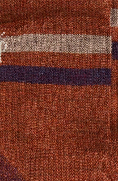 Smartwool Hike Light Cushion Tube Crew Socks In Fossil