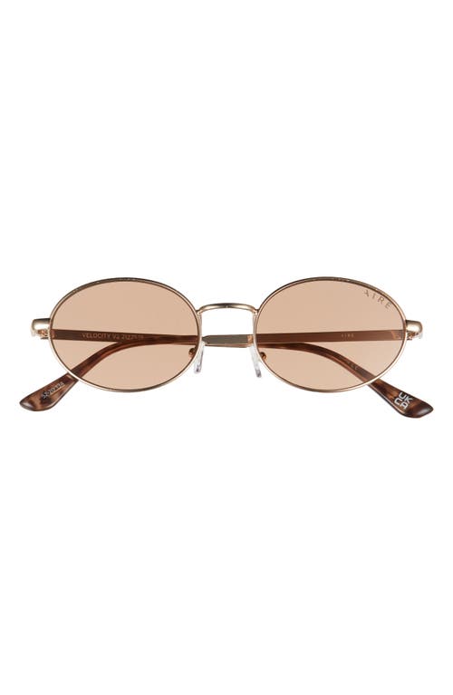 AIRE Velocity 52mm Oval Sunglasses in Gold /Barley Tint
