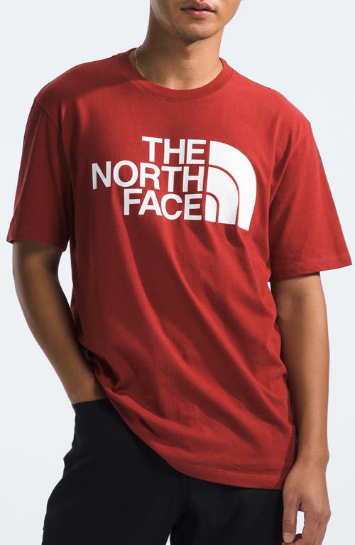 Half Dome Logo Graphic T-Shirt in Iron Red