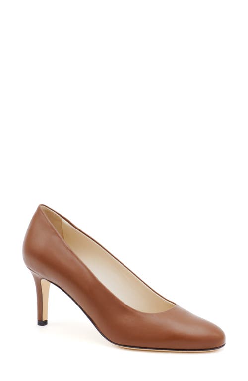 Shop Amalfi By Rangoni Levi Pump In Rocher Parmasoft