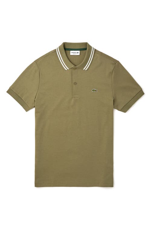 Shop Lacoste Regular Fit Tipped Cotton Polo In Khaki