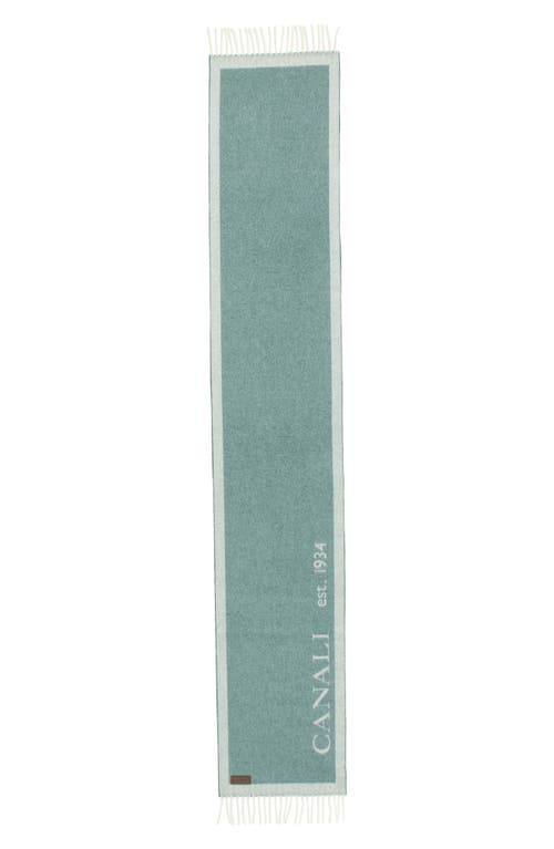 Shop Canali 90th Anniversary Cashmere Scarf In Light Green