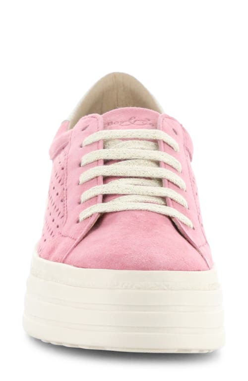 Shop Bos. & Co. Lotta Platform Sneaker In Pink Rose/marfil