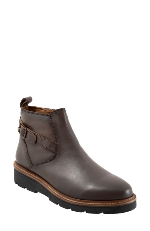 SoftWalk Waneta Bootie Stone at Nordstrom,