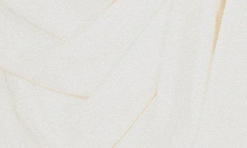 Jluxlabel Elicia Front Tie Sleeveless Top In White
